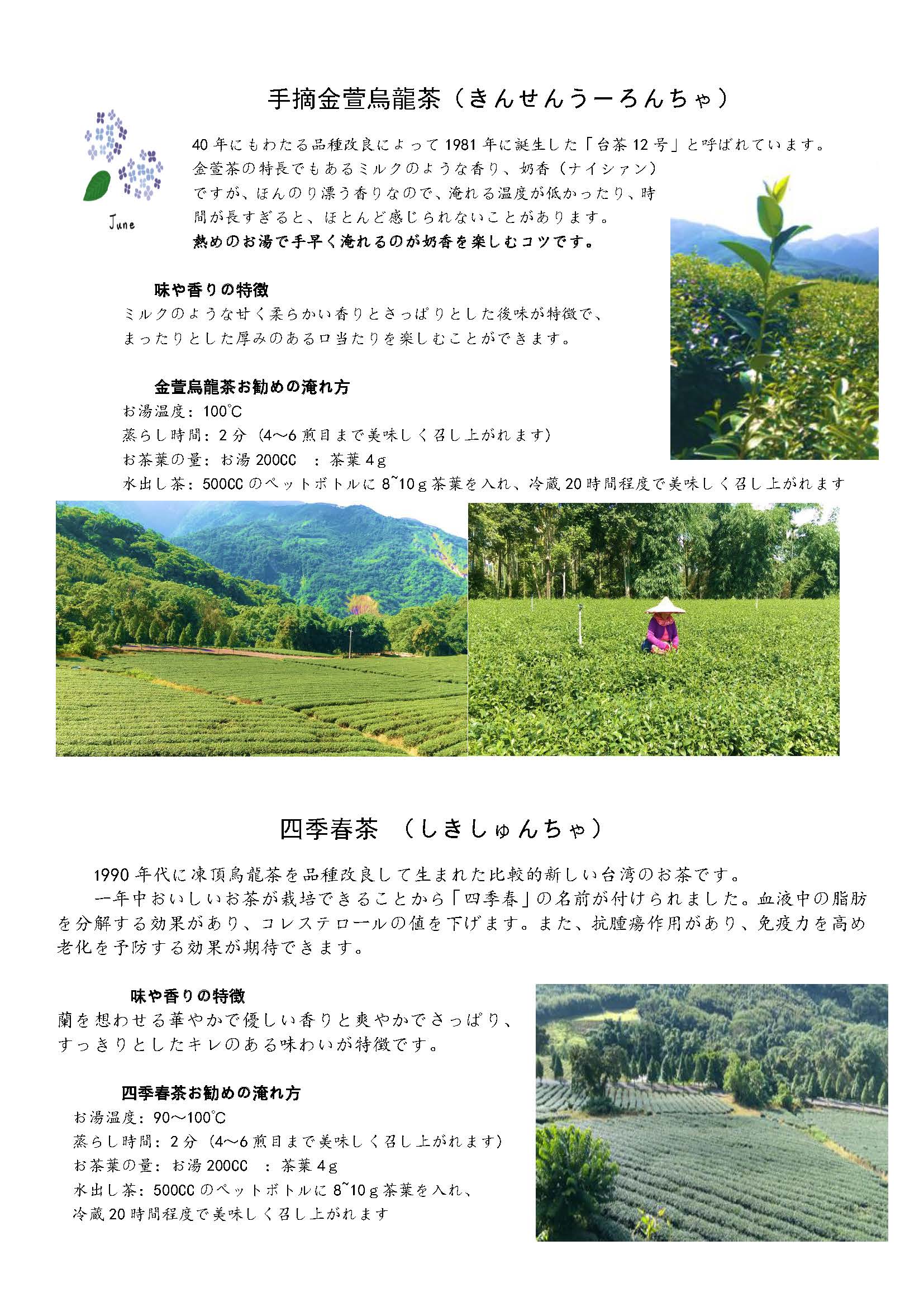 台湾烏龍茶体験講座